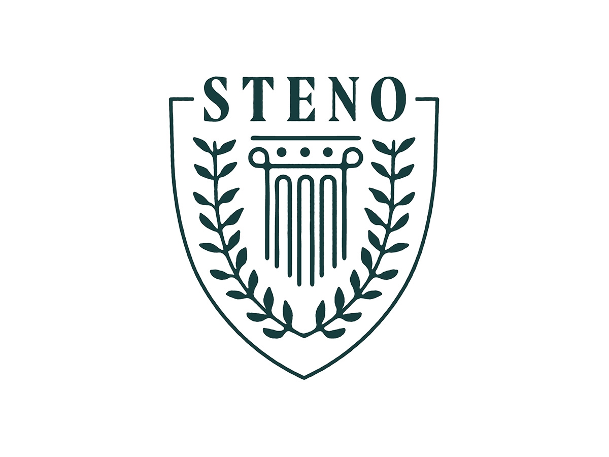 Understanding the 6 Key Steps in the Litigation Financing Process | Steno - Vimarsana News