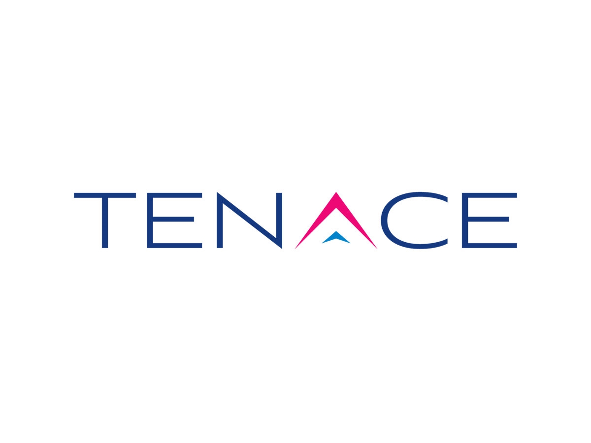 Essential Steps to Prepare for a Successful Cybersecurity Framework Audit | Tenace - Vimarsana News